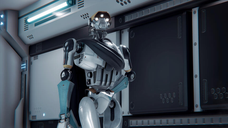 Coalition of Sentient Systems